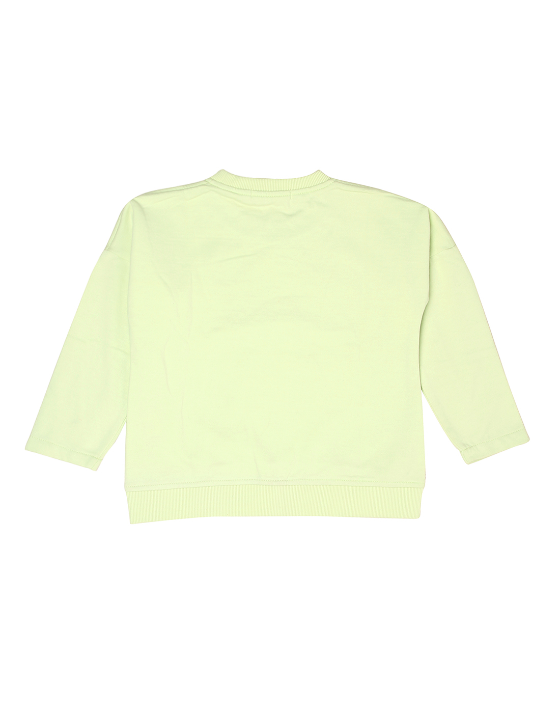 Wingsfield Girls Light Green Sweatshirt