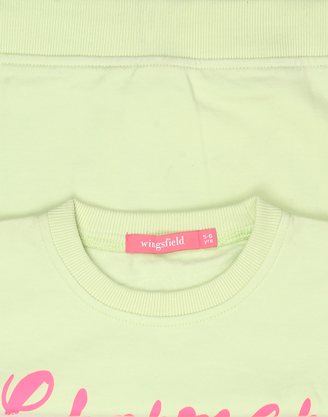 Wingsfield Girls Light Green Sweatshirt